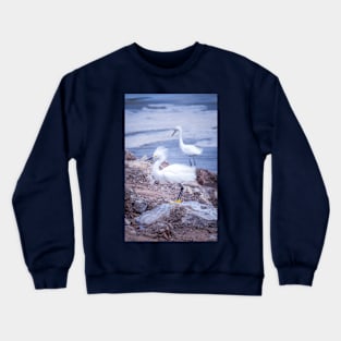 Proud Snowy Egret Crewneck Sweatshirt